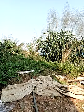 Snapshot of linda_bae00 chatting on 03/02/26, 07:15 linda bae00 online show from 03/02/26, 07:15