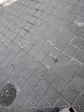 xxxfeo online show from 04/09/26, 11:59