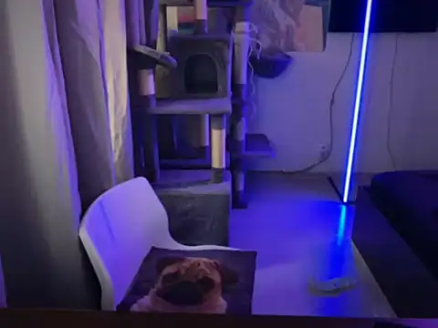 davesinner online show from 03/02/26, 07:15