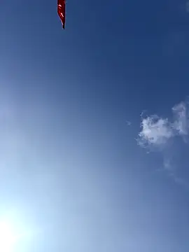 EmLy02 online show from 12/19/25, 03:46