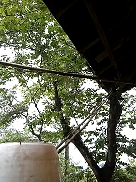 lucybaby00 online show from 05/08/26, 04:07