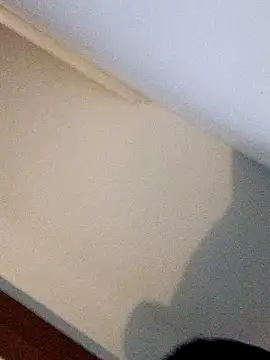 Andrez5041 online show from 10/14/25, 04:02