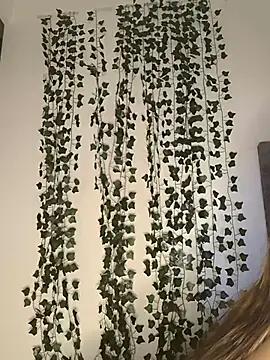 butterfly777  online show from 01/11/26, 08:41