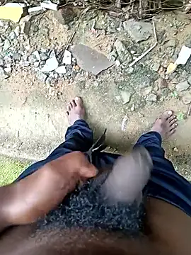 dolphiinn online show from 12/17/25, 04:51