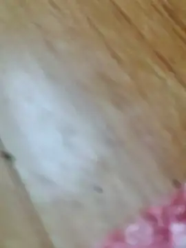 Markroco696 online show from 10/18/25, 02:58