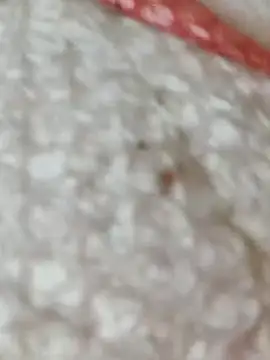 Markroco696 online show from 11/15/25, 05:38