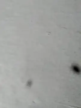 Snapshot of Mollysdick chatting on 04/16/26, 02:18 Mollysdick online show from 04/16/26, 02:18