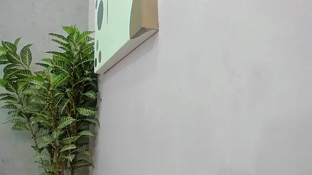 scarlett646 online show from 12/02/25, 03:12