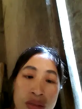 misa 00 online show from 04/03/26, 09:51