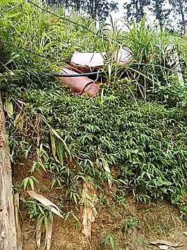 Ngocmi909 online show from 03/19/26, 01:42