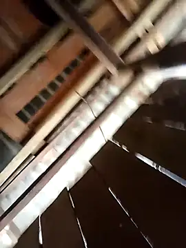 Ngocmi909 online show from 03/22/26, 03:10