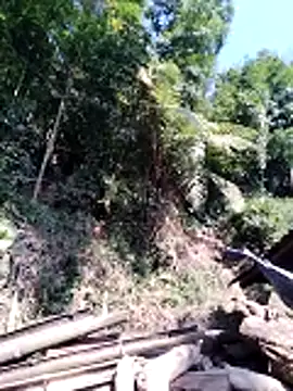 miss-su online show from 02/05/26, 07:46