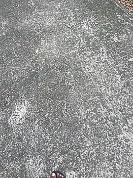 Senurak99 online show from 11/16/25, 07:03