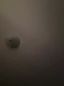 Troydaddy578 online show from 04/01/26, 04:24