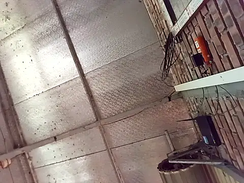 Fienjr online show from 03/29/26, 08:58