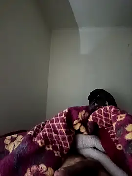 bomcasal online show from 02/17/26, 11:00