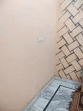 meenu bhabhi547 online show from 02/21/26, 04:13