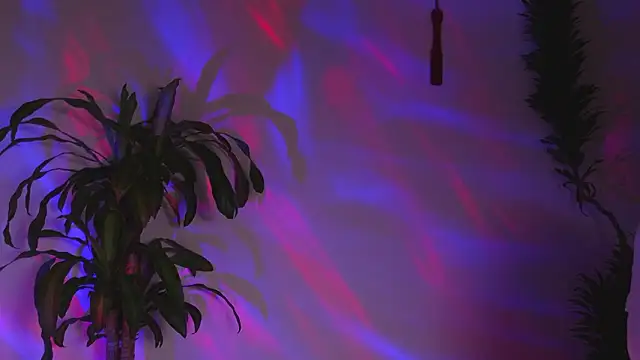 bri von dhara   online show from 03/07/26, 12:18