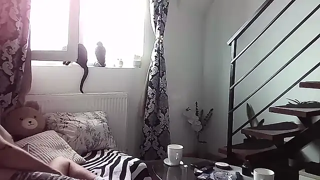 Snapshot of RyanStorm_ chatting on 09/10/25, 09:42 RyanStorm online show from 09/10/25, 09:42