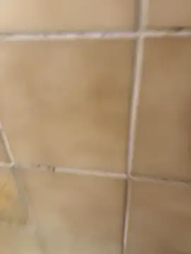 Snapshot of escobryuf chatting on 01/09/26, 12:30 escobryuf online show from 01/09/26, 12:30