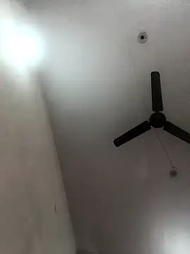 Appypie online show from 11/08/25, 05:51