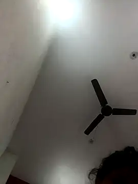 Appypie online show from 11/19/25, 06:35