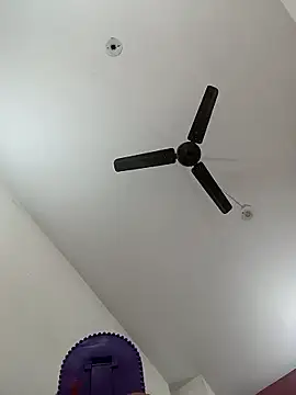 Appypie online show from 01/11/26, 06:35