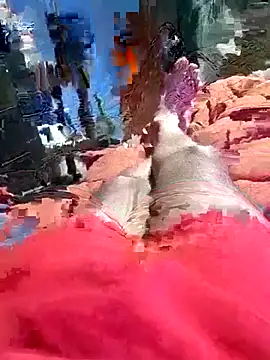 QJHoElyking online show from 10/10/25, 03:27