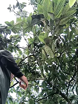 Snapshot of lamejorpene chatting on 02/05/26, 01:05 lamejorpene online show from 02/05/26, 01:05