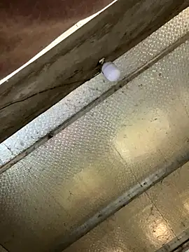 Snapshot of han-cute chatting on 11/24/25, 06:24 han-cute online show from 11/24/25, 06:24