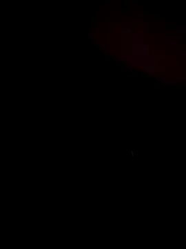 stevo170t online show from 11/13/25, 07:40