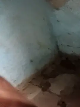 Sheema tyagi online show from 11/11/25, 07:47