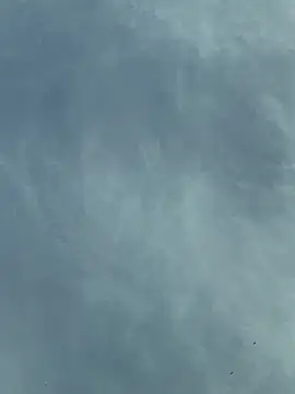 camboys poyraz online show from 11/18/25, 01:04