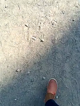 beerant online show from 11/16/25, 05:35