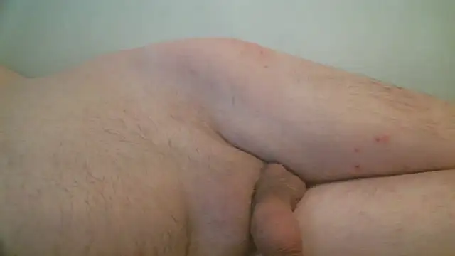 Snapshot of pedro190765 chatting on 11/19/25, 03:56 pedro190765 online show from 11/19/25, 03:56