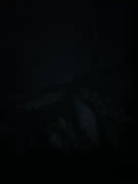xxminou online show from 07/02/26, 02:44