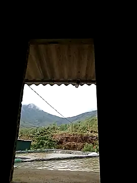 ngan-cute online show from 05/04/26, 12:17