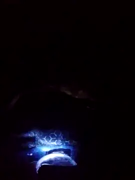 gostoso delas 2 online show from 09/17/25, 04:19