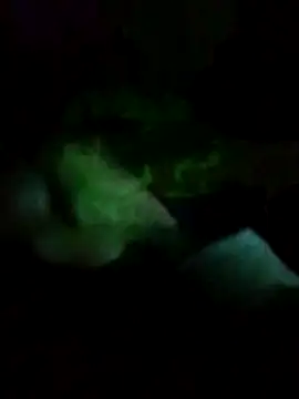 gostoso delas 2 online show from 10/30/25, 09:00