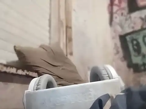 MYM69 - online show from 03/08/26, 07:34