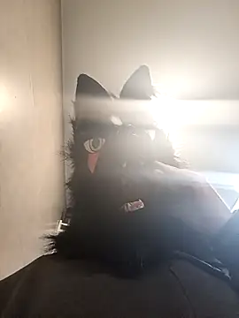 Wolf Okami SP online show from 01/14/26, 02:01