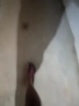 sexy  girls98 online show from 11/27/25, 12:13