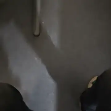 stunning stallion online show from 10/23/25, 09:35