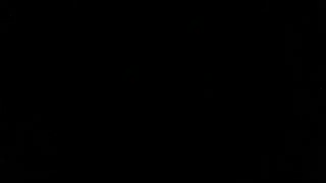 Zulema R1 online show from 03/01/26, 11:07