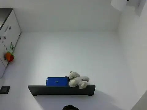 Snapshot of IMGTomi chatting on 06/17/26, 03:42 IMGTomi online show from 06/17/26, 03:42
