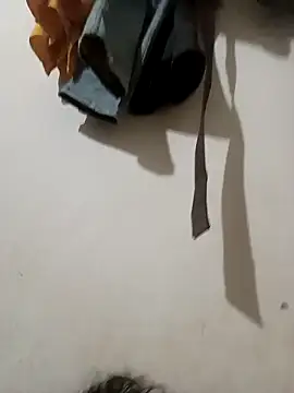 Payal950 online show from 04/29/26, 11:55