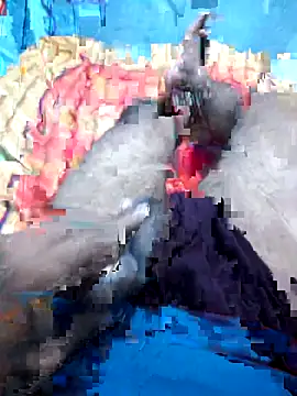 Snapshot of Hyd-bad-boy-25 chatting on 09/27/25, 05:56 Hyd-bad-boy-25 online show from 09/27/25, 05:56