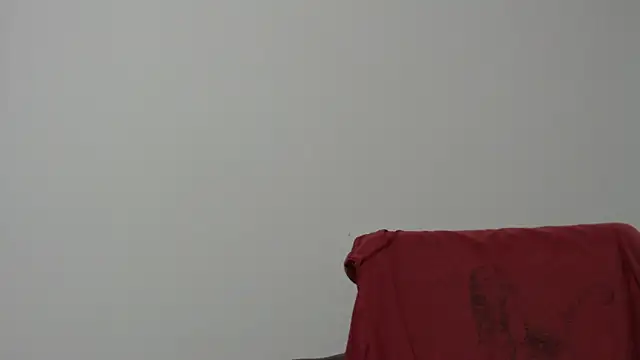 Rocky Muscle online show from 02/05/26, 04:50