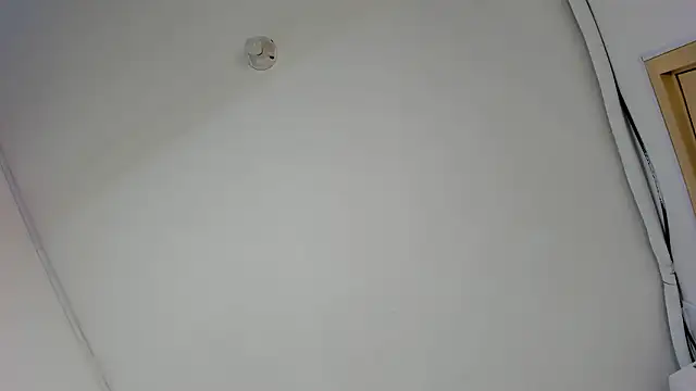 babilett online show from 01/14/26, 10:36