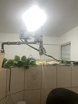 YadielPublic online show from 04/10/26, 12:49